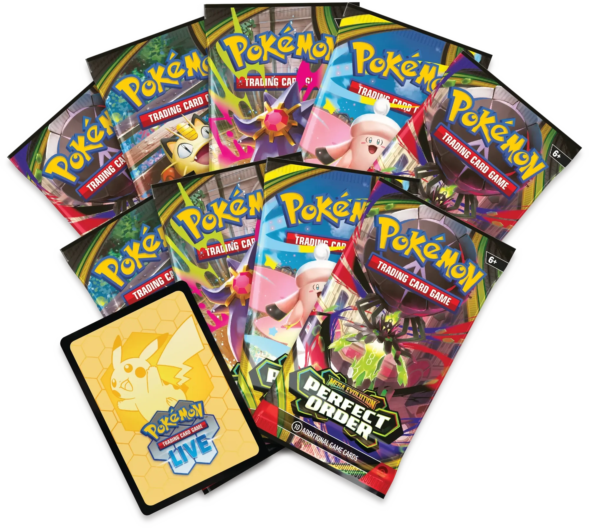 Perfect Order Elite Trainer Box